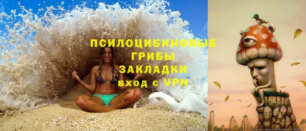 мдпв Пролетарск
