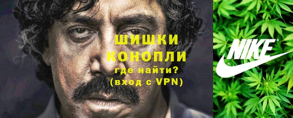 спиды Богородск