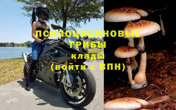 ГАЛЛЮЦИНОГЕННЫЕ ГРИБЫ Богородицк