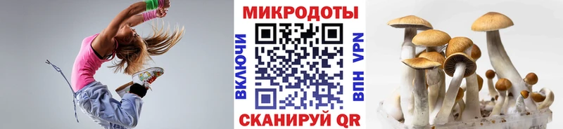 Псилоцибиновые грибы Cubensis Южноуральск